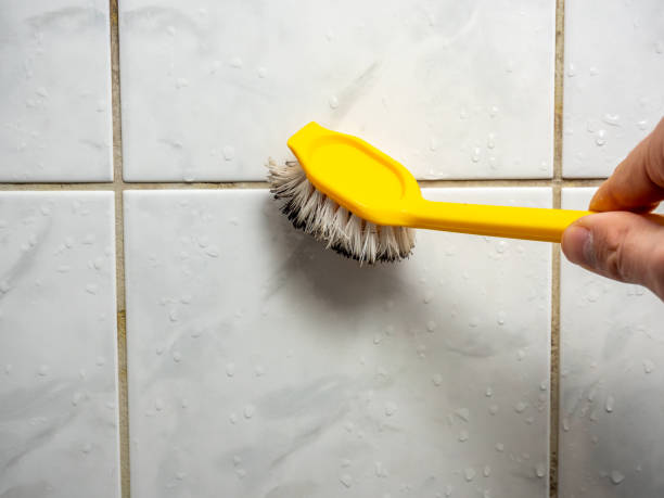 Best Affordable Mold Removal  in Deridder, LA