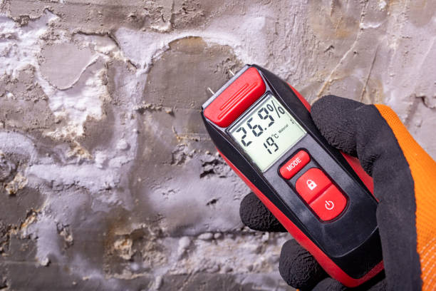 Best Mold Remediation Experts  in Deridder, LA