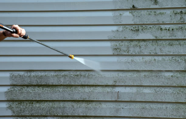 Best Attic Mold Removal  in Deridder, LA