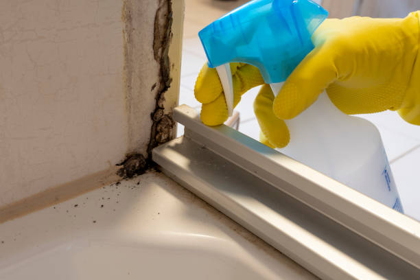 Best Mold Testing  in Deridder, LA