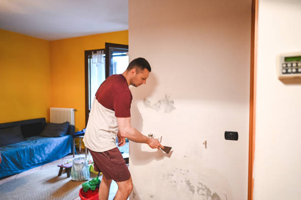Best Certified Mold Removal  in Deridder, LA