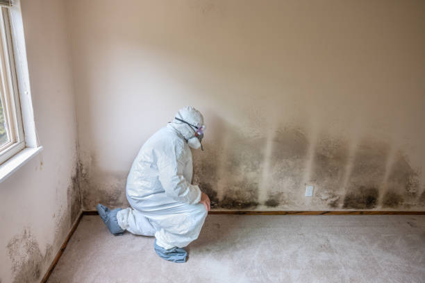 Best Water Damage Restoration  in Deridder, LA